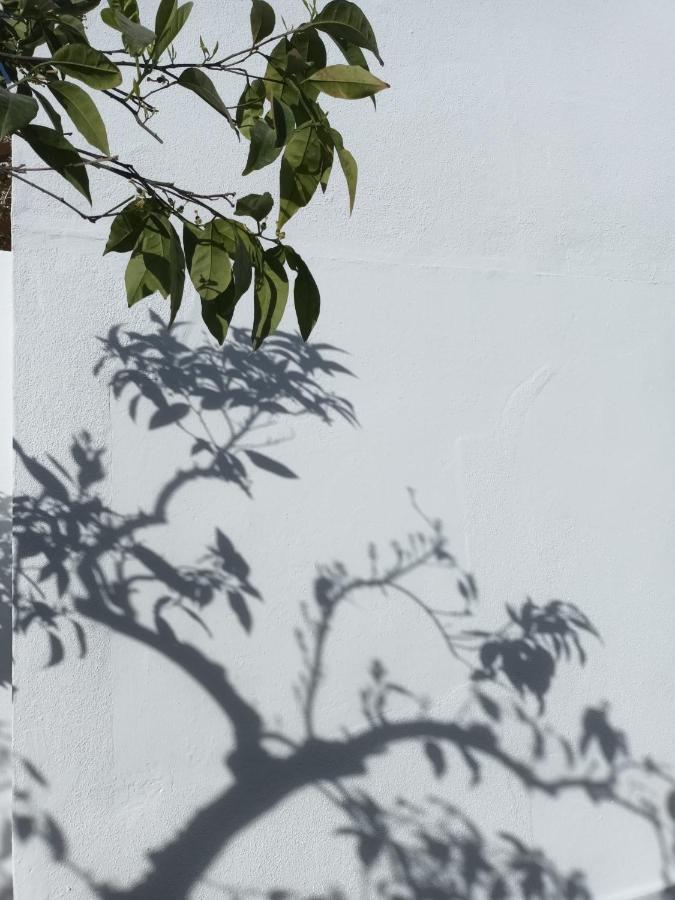 Apartamento Casa Morais Pinto Reguengos de Monsaraz Exterior foto
